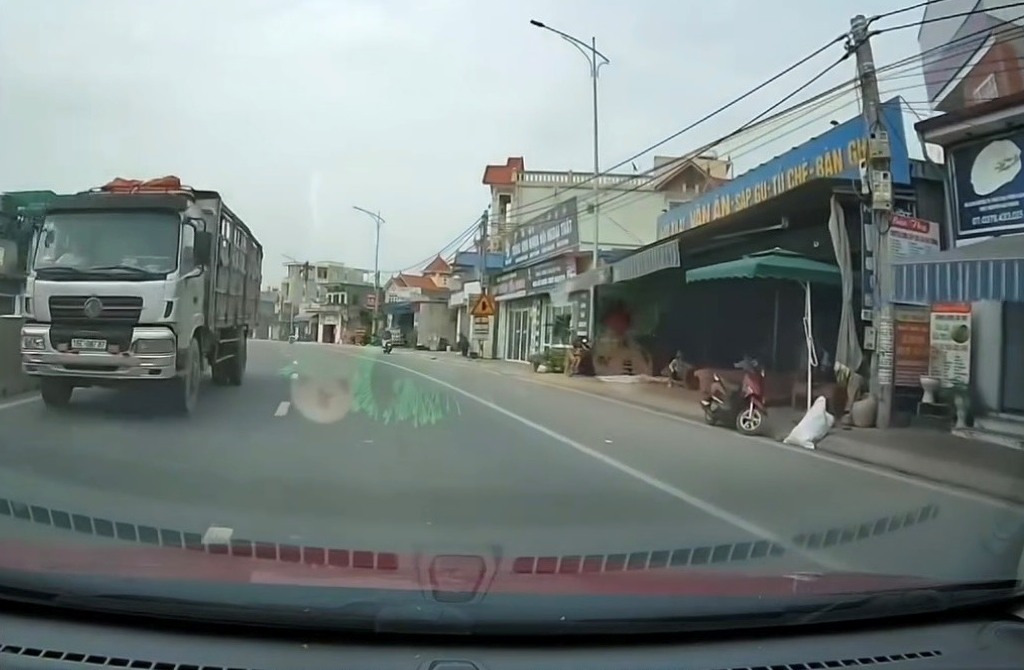 Trạm Cảnh sát giao thông Lưu Kiếm: Phạt, tước bằng lái một lái xe tải đi ngược chiều